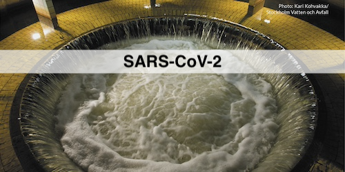 Thumbnail for Amount of SARS-CoV-2 in wastewater (GU)