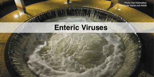 Thumbnail for Wastewater: Enteric Virus Quantification (GU)